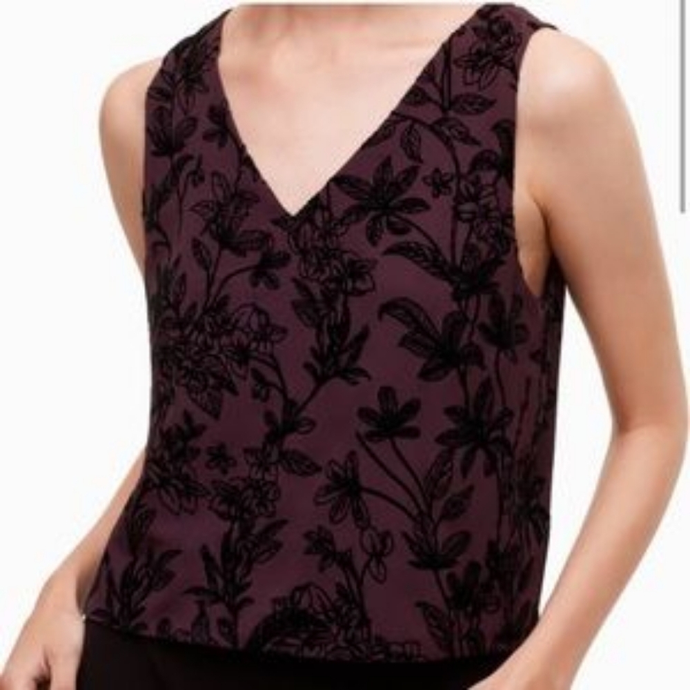 Babaton Top